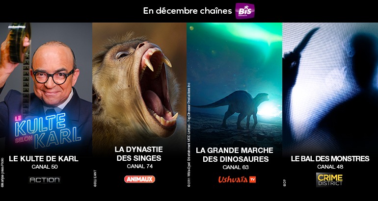 Programme en decembre sur BIS TV
